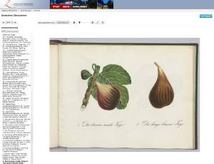 Screenshot_Goobi_aktuell_dt.
